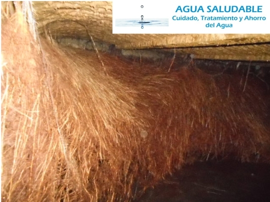 Lavado y reparado de aljibes con raices en Zapopan Guadalajara