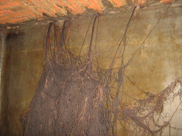 Lavado de cisternas rotoplas con raices