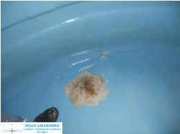 Reparacion de cisternas Rotoplas plastico polietileno en Zapopan guadalajara