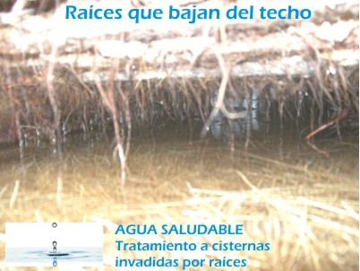 Limpieza y reparacion de aljibes y cisternas con raices en Zapopan Guadalajara
