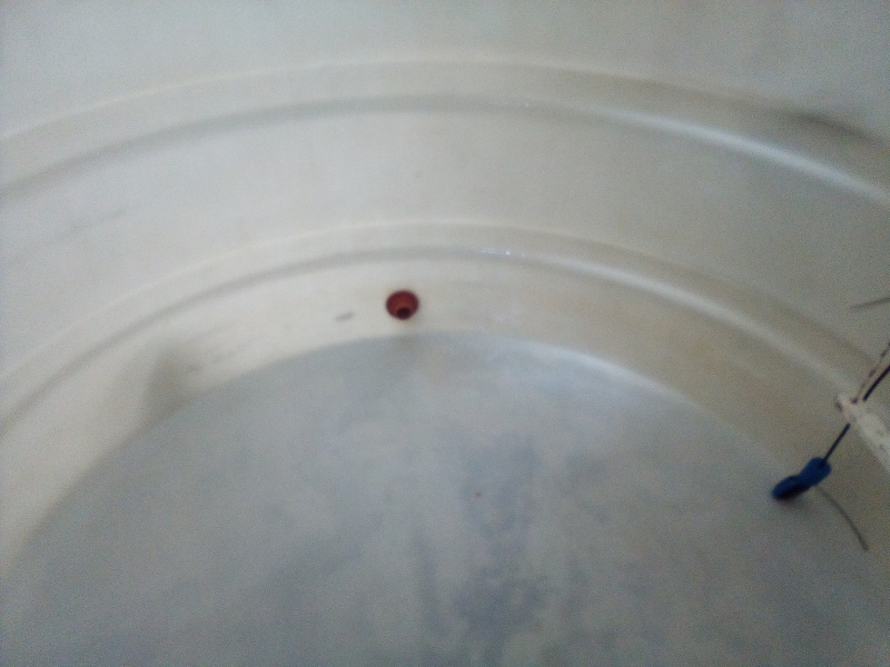 Lavado y desinfectado de cisternas y tanques rotoplas de plastico polietileno en Zapopan y Guadalajara