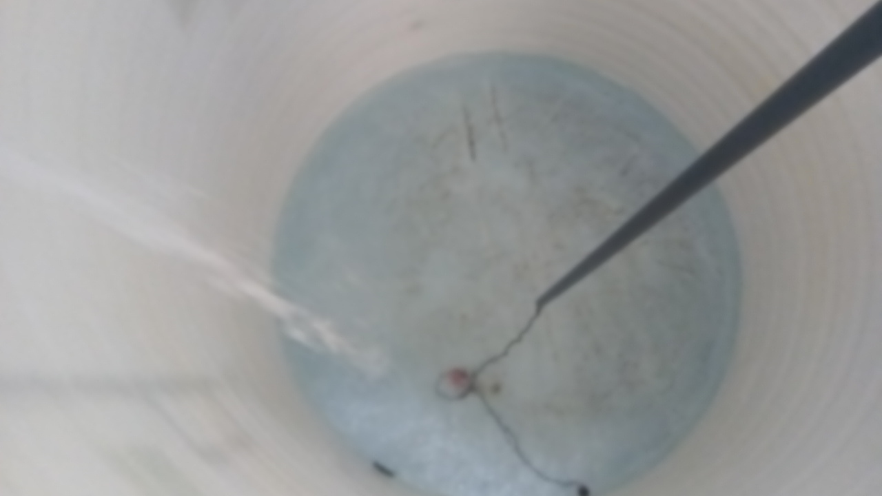 servicio de limpieza y desinfeccion de cisternas Rotoplas tanques desinfectado desinfectar lavar 