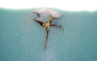 Reparacion de fisuras en cisternas y tanques Rotoplas de polietileno o plastico en Zapopan Guadalajara