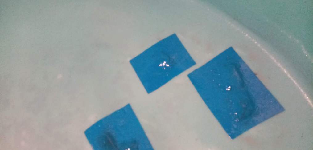 Reparacion de aljibes con raices grietas fisuras fugas de agua en zapopan guadalajara